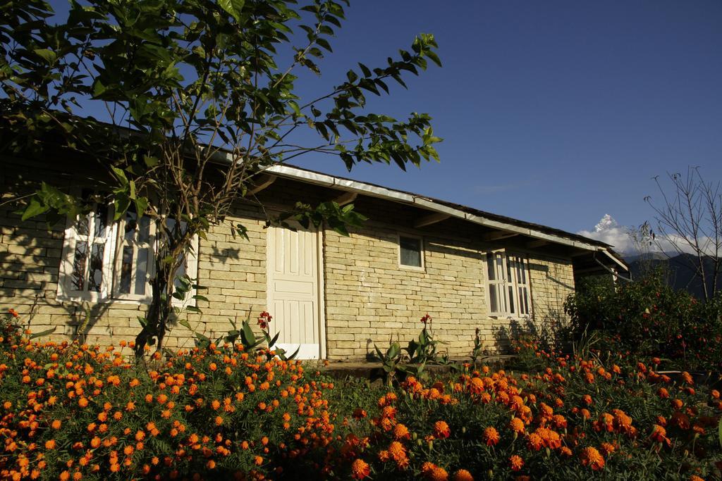 Annapurna Eco Village Pokhara Exteriör bild