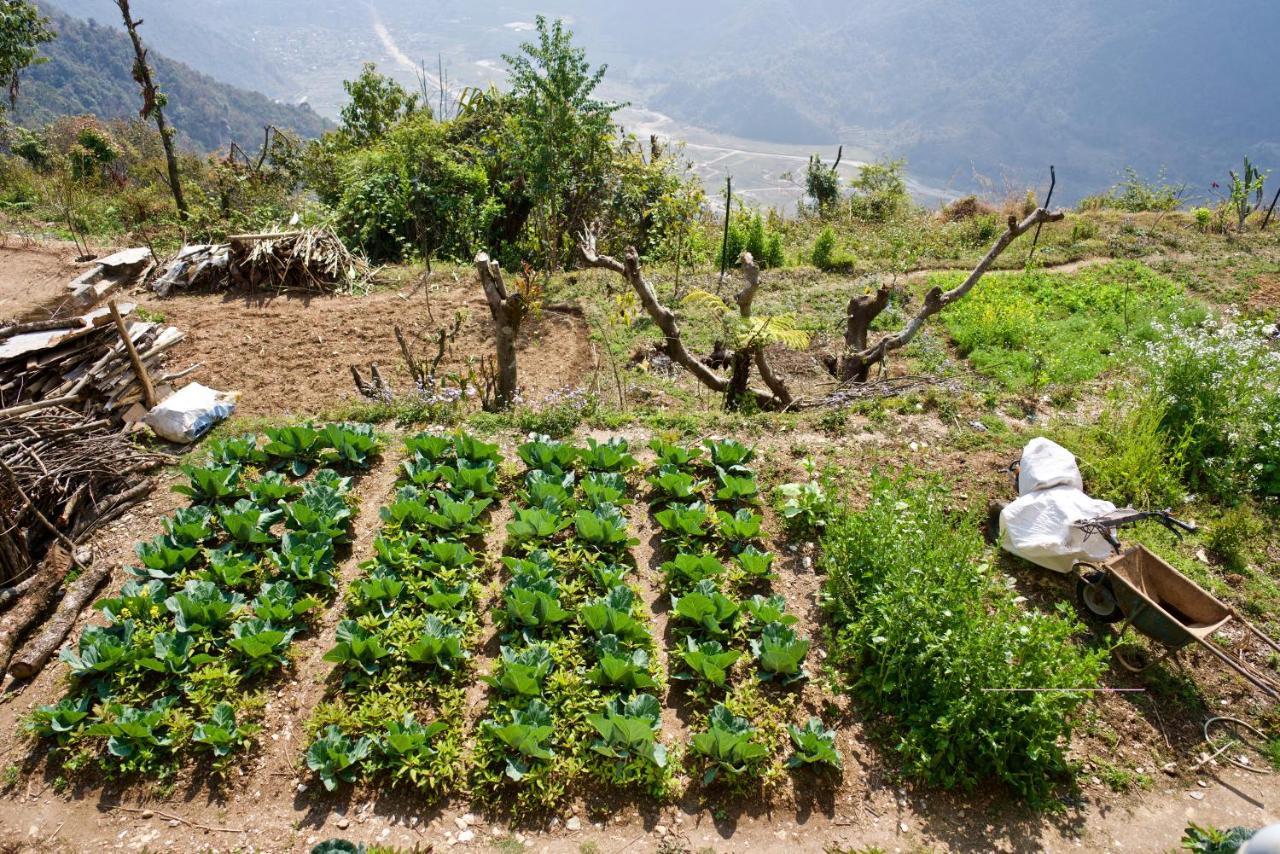 Annapurna Eco Village Pokhara Exteriör bild