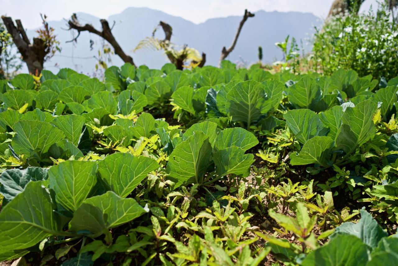 Annapurna Eco Village Pokhara Exteriör bild